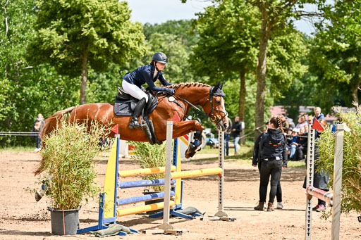 Goldene Schärpe Pferfde in Löningen 2026 | 14062026 Springen 2 Abt _473 