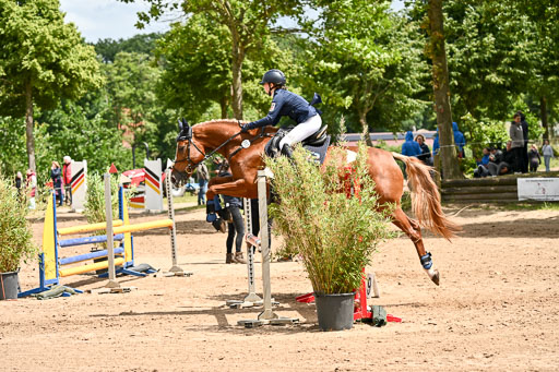 Goldene Schärpe Pferfde in Löningen 2026 | 14062026 Springen 2 Abt _479 
