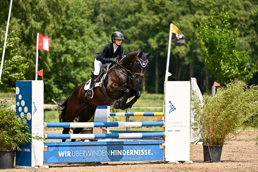 Goldene Schärpe Pferfde in Löningen 2026 | 14062026 Springen 2 Abt _480 