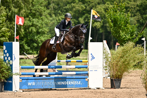 Goldene Schärpe Pferfde in Löningen 2026 | 14062026 Springen 2 Abt _481 