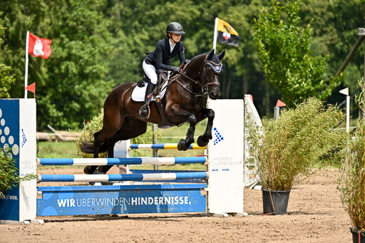 Goldene Schärpe Pferfde in Löningen 2026 | 14062026 Springen 2 Abt _482 