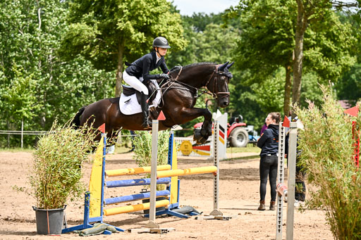 Goldene Schärpe Pferfde in Löningen 2026 | 14062026 Springen 2 Abt _484 