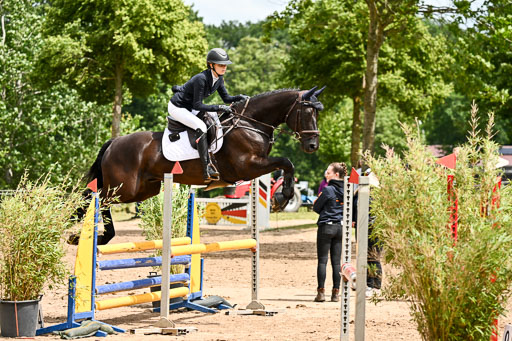 Goldene Schärpe Pferfde in Löningen 2026 | 14062026 Springen 2 Abt _485 