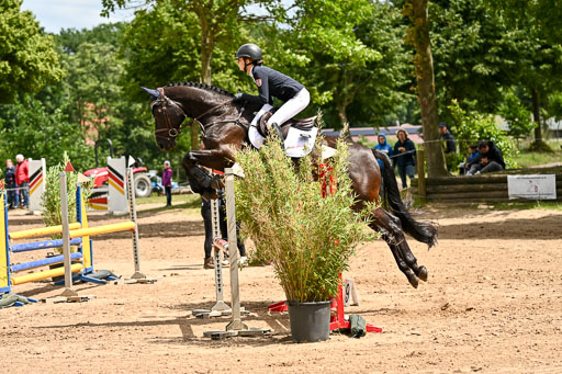 Goldene Schärpe Pferfde in Löningen 2026 | 14062026 Springen 2 Abt _493 
