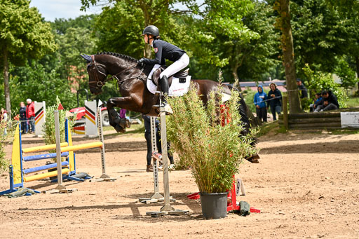 Goldene Schärpe Pferfde in Löningen 2026 | 14062026 Springen 2 Abt _494 