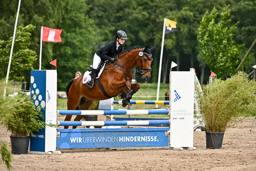 Goldene Schärpe Pferfde in Löningen 2026 | 14062026 Springen 2 Abt _496 
