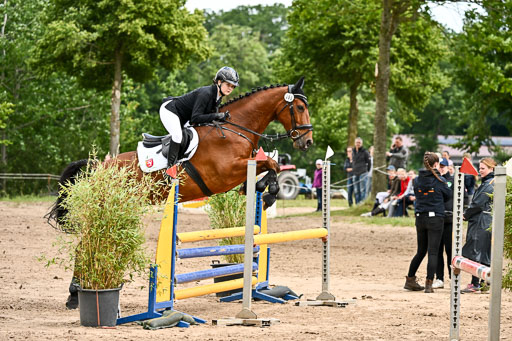 Goldene Schärpe Pferfde in Löningen 2026 | 14062026 Springen 2 Abt _498 