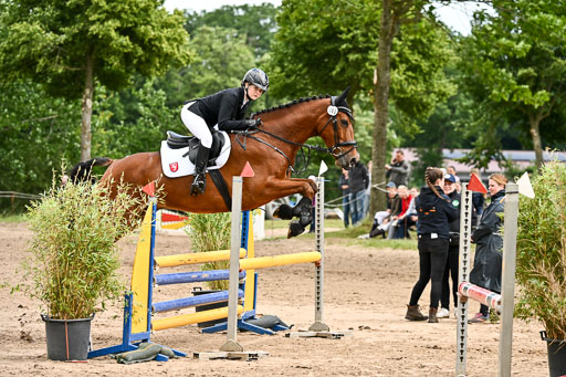 Goldene Schärpe Pferfde in Löningen 2026 | 14062026 Springen 2 Abt _499 