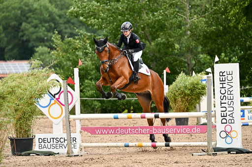 Goldene Schärpe Pferfde in Löningen 2026 | 14062026 Springen 2 Abt _501 