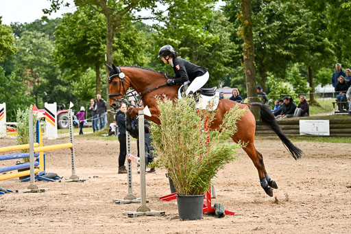 Goldene Schärpe Pferfde in Löningen 2026 | 14062026 Springen 2 Abt _505 