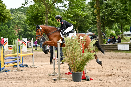 Goldene Schärpe Pferfde in Löningen 2026 | 14062026 Springen 2 Abt _506 