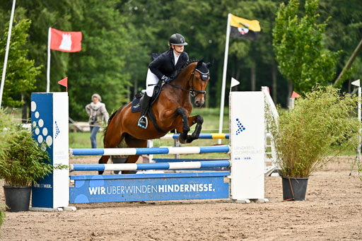 Goldene Schärpe Pferfde in Löningen 2026 | 14062026 Springen 2 Abt _507 