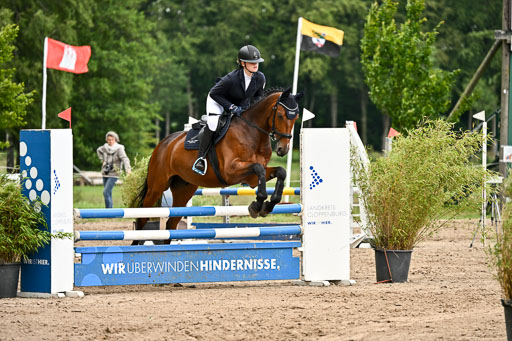 Goldene Schärpe Pferfde in Löningen 2026 | 14062026 Springen 2 Abt _508 
