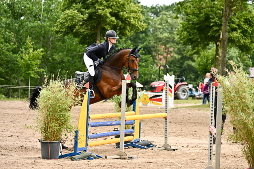 Goldene Schärpe Pferfde in Löningen 2026 | 14062026 Springen 2 Abt _509 