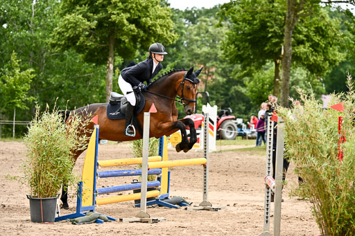 Goldene Schärpe Pferfde in Löningen 2026 | 14062026 Springen 2 Abt _510 