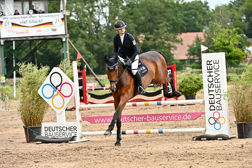 Goldene Schärpe Pferfde in Löningen 2026 | 14062026 Springen 2 Abt _514 