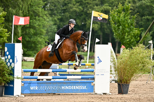 Goldene Schärpe Pferfde in Löningen 2026 | 14062026 Springen 2 Abt _516 