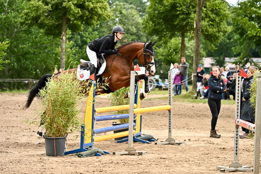 Goldene Schärpe Pferfde in Löningen 2026 | 14062026 Springen 2 Abt _517 