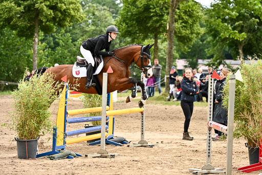Goldene Schärpe Pferfde in Löningen 2026 | 14062026 Springen 2 Abt _518 