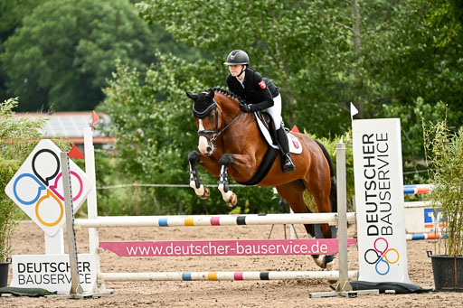 Goldene Schärpe Pferfde in Löningen 2026 | 14062026 Springen 2 Abt _520 
