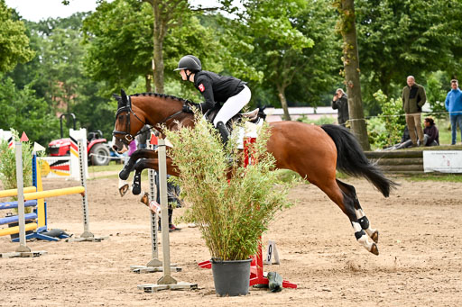 Goldene Schärpe Pferfde in Löningen 2026 | 14062026 Springen 2 Abt _525 