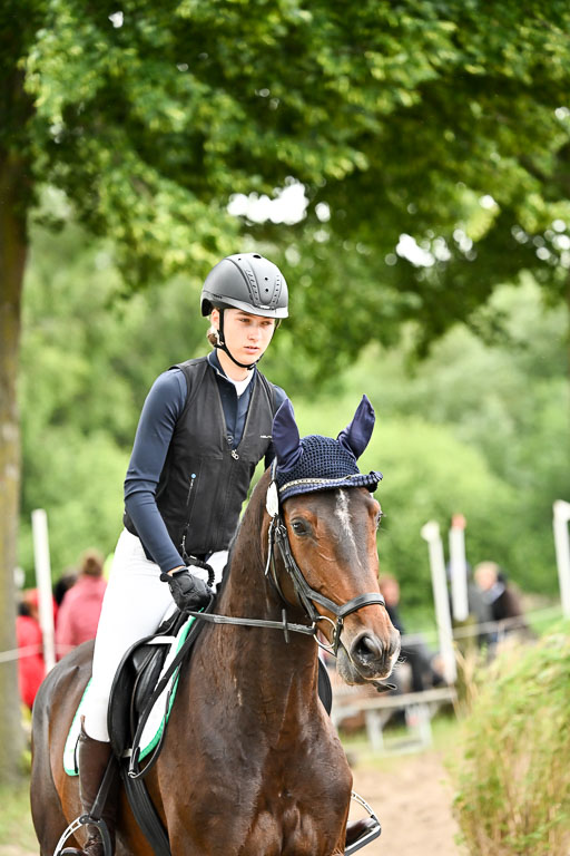 Goldene Schärpe Pferfde in Löningen 2026 | 14062026 Springen 2 Abt _526 