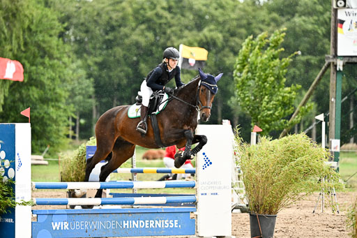 Goldene Schärpe Pferfde in Löningen 2026 | 14062026 Springen 2 Abt _527 
