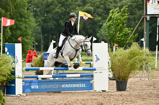 Goldene Schärpe Pferfde in Löningen 2026 | 14062026 Springen 2 Abt _534 
