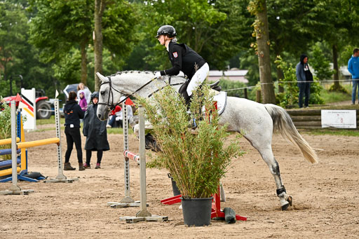 Goldene Schärpe Pferfde in Löningen 2026 | 14062026 Springen 2 Abt _542 