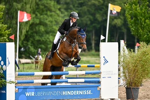 Goldene Schärpe Pferfde in Löningen 2026 | 14062026 Springen 2 Abt 
