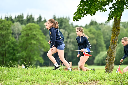 Goldene Schärpe Pferfde in Löningen 2026 | 12062026 Sport_044 