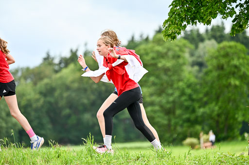 Goldene Schärpe Pferfde in Löningen 2026 | 12062026 Sport_046 