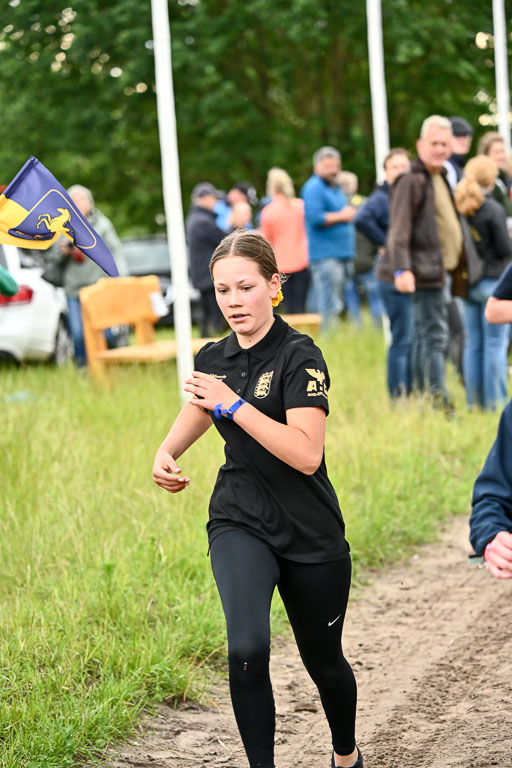 Goldene Schärpe Pferfde in Löningen 2026 | 12062026 Sport_094 