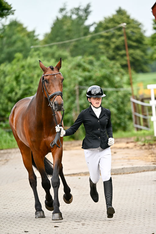 Goldene Schärpe Pferfde in Löningen 2026 | 120626 Voirmustern_100-2 