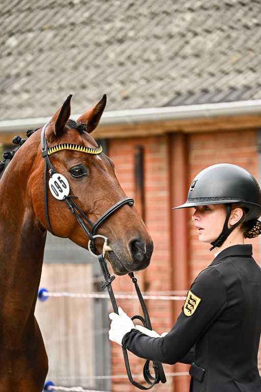 Goldene Schärpe Pferfde in Löningen 2026 | 120626 Voirmustern_199-2 