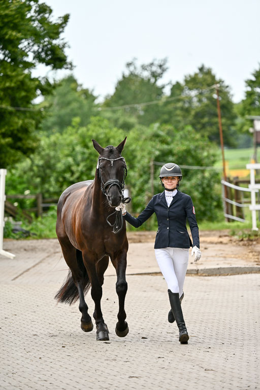 Goldene Schärpe Pferfde in Löningen 2026 | 120626 Voirmustern_207-2 