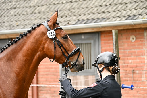 120626-Voirmustern_215-2.jpg