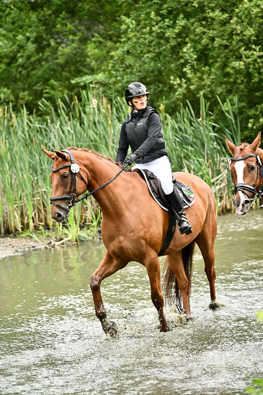 12062026Wasserdurchritt_021.jpg