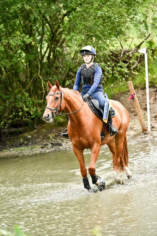 Goldene Schärpe Pferfde in Löningen 2026 | 12062026Wasserdurchritt_024 