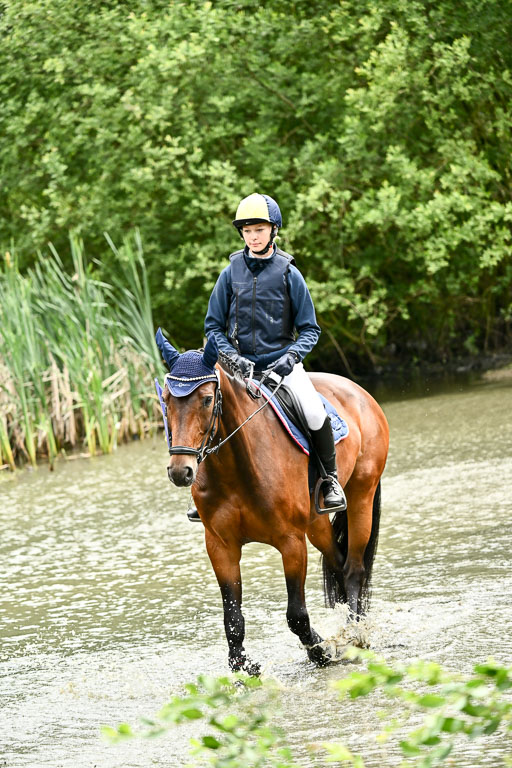 Goldene Schärpe Pferfde in Löningen 2026 | 12062026Wasserdurchritt_026 
