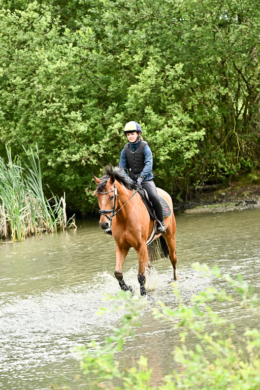 Goldene Schärpe Pferfde in Löningen 2026 | 12062026Wasserdurchritt_034 