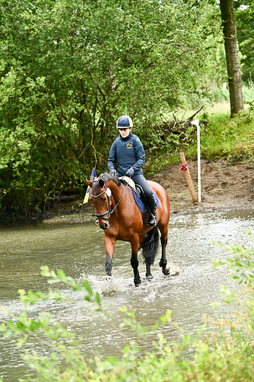 Goldene Schärpe Pferfde in Löningen 2026 | 12062026Wasserdurchritt_036 