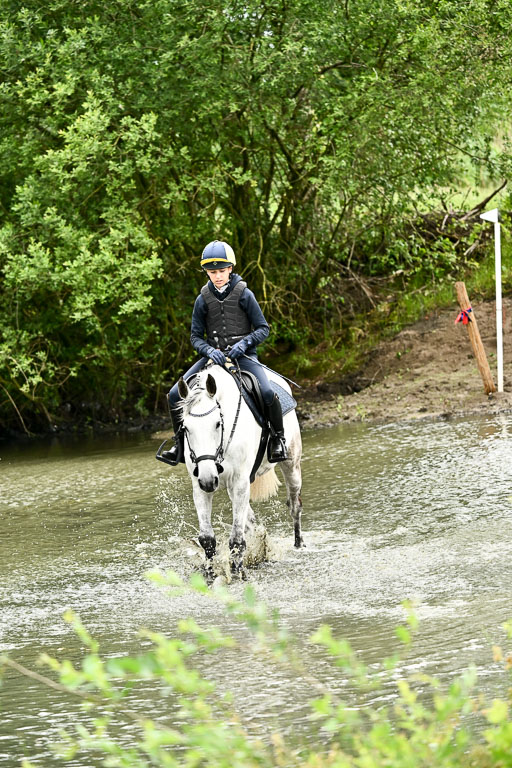 Goldene Schärpe Pferfde in Löningen 2026 | 12062026Wasserdurchritt_038 