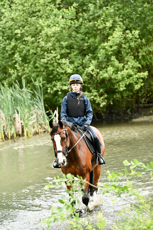 Goldene Schärpe Pferfde in Löningen 2026 | 12062026Wasserdurchritt_046 