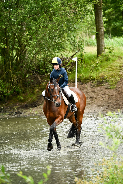 Goldene Schärpe Pferfde in Löningen 2026 | 12062026Wasserdurchritt_058 