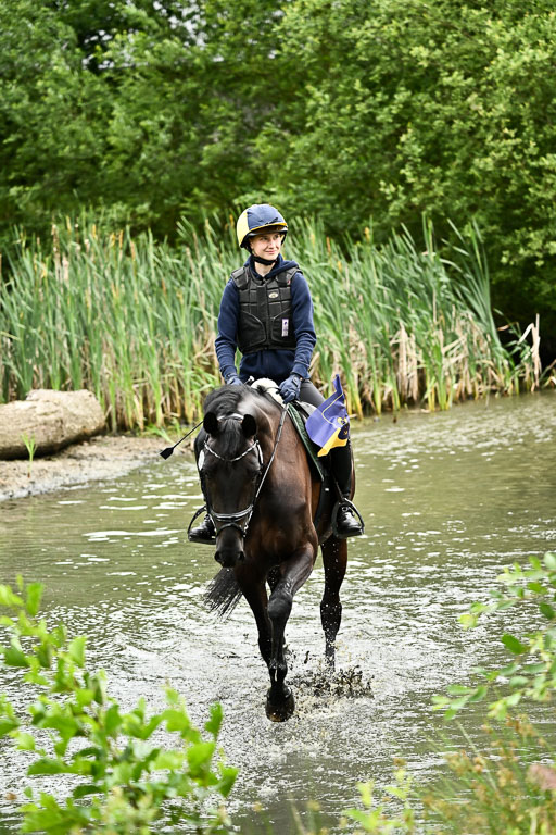 Goldene Schärpe Pferfde in Löningen 2026 | 12062026Wasserdurchritt_060 