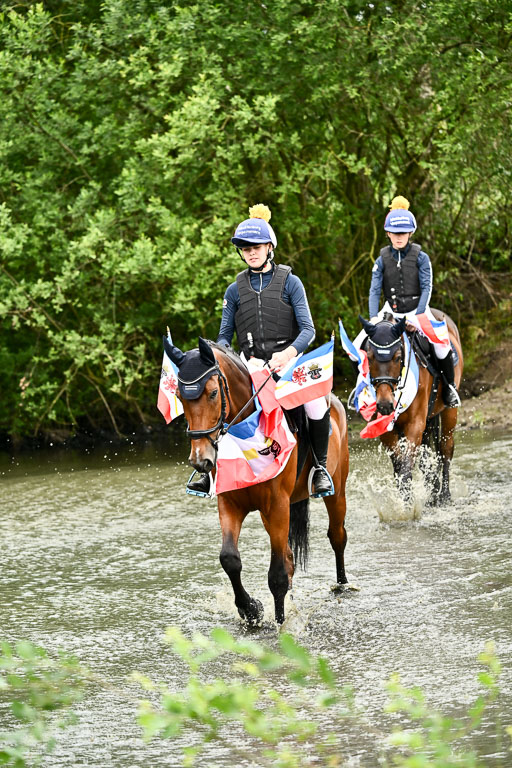 Goldene Schärpe Pferfde in Löningen 2026 | 12062026Wasserdurchritt_070 