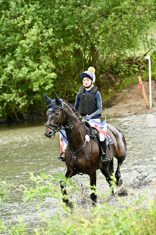 Goldene Schärpe Pferfde in Löningen 2026 | 12062026Wasserdurchritt_075 