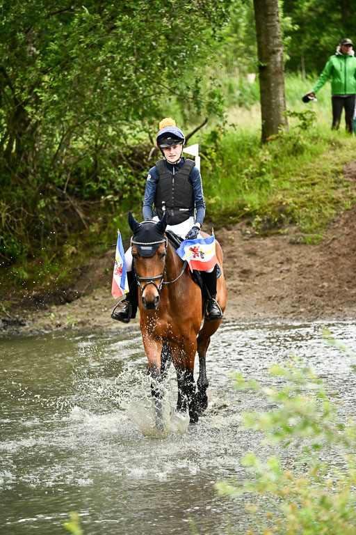 Goldene Schärpe Pferfde in Löningen 2026 | 12062026Wasserdurchritt_076 
