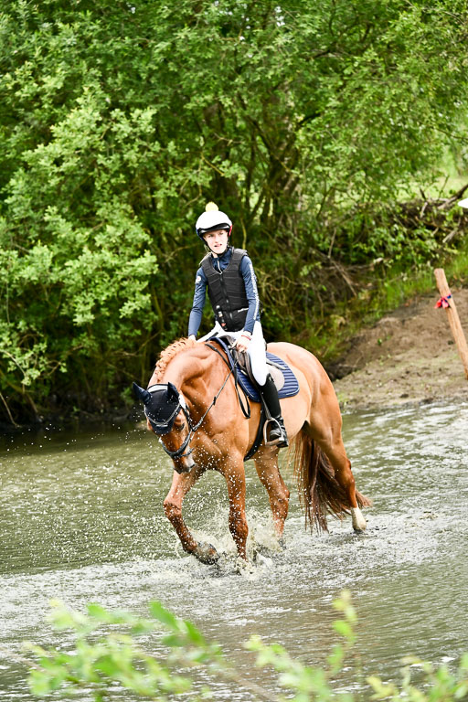 Goldene Schärpe Pferfde in Löningen 2026 | 12062026Wasserdurchritt_078 